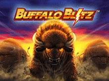 Buffalo Blitz
