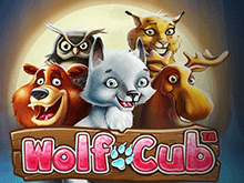 Wolf Cub